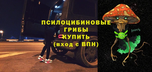соль ск Надым