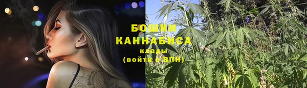 соль ск Надым