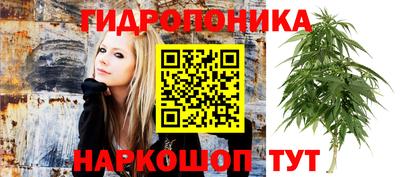 спайс Будённовск