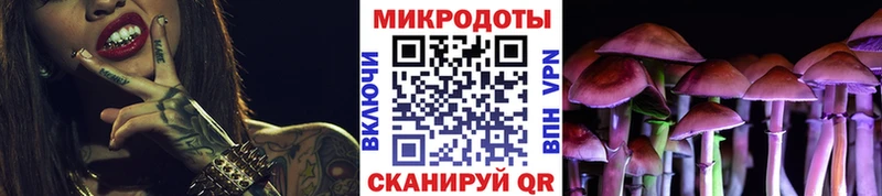 Псилоцибиновые грибы Cubensis  Искитим 