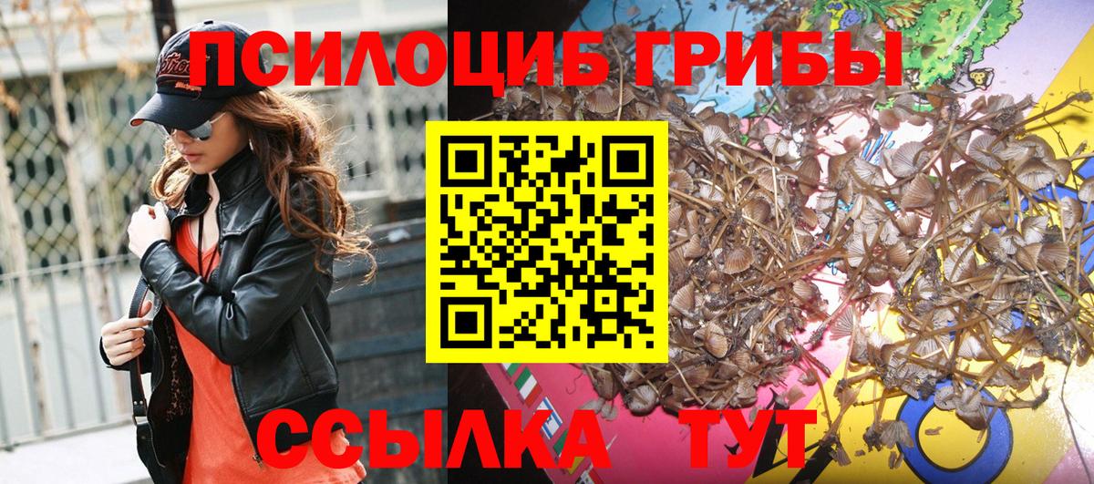 Псилоцибиновые грибы MAGIC MUSHROOMS  Вход с VPN  Искитим  Псилоцибиновые грибы мухоморы 