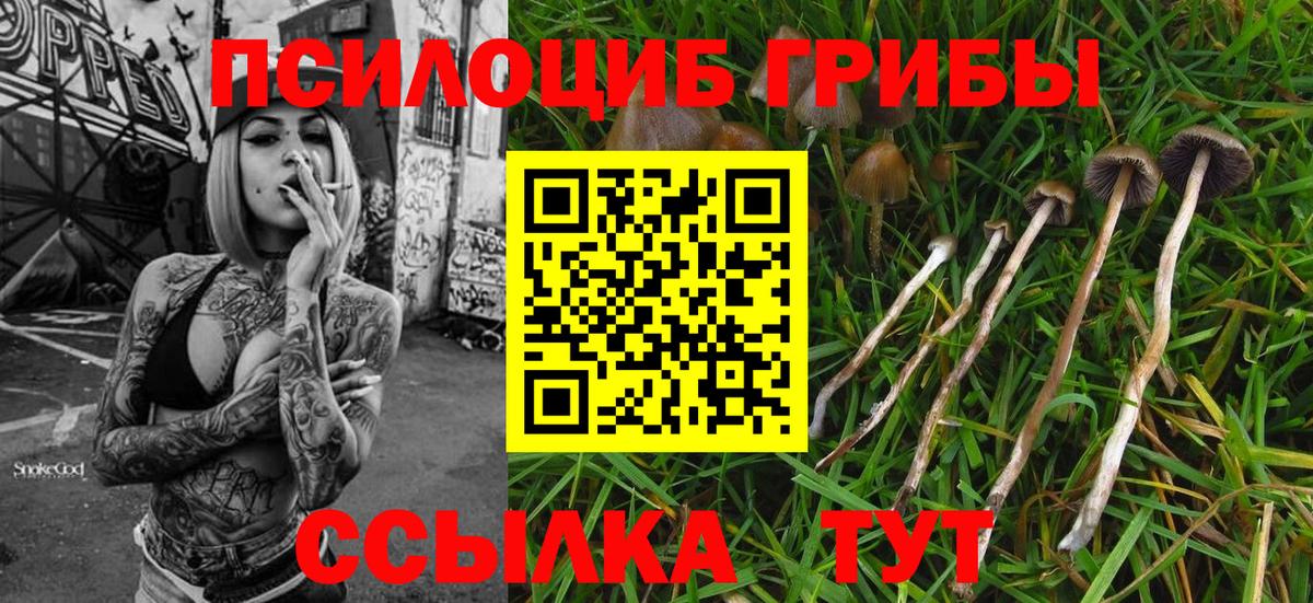 Псилоцибиновые грибы мухоморы Искитим