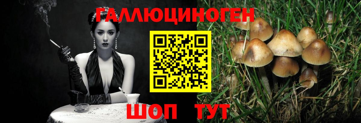 Галлюциногенные грибы MAGIC MUSHROOMS Искитим